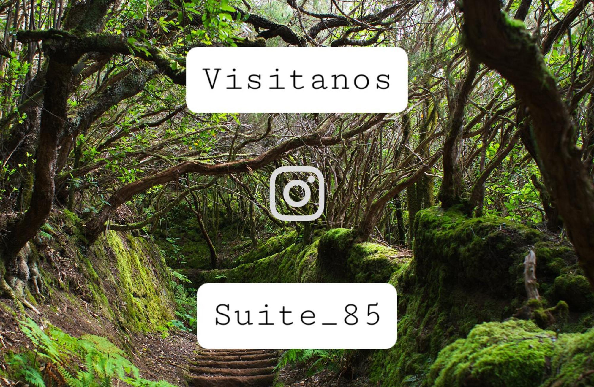 Suite 85, Villa Boutique Privada Con Piscina Icod De Los Vinos Exteriér fotografie